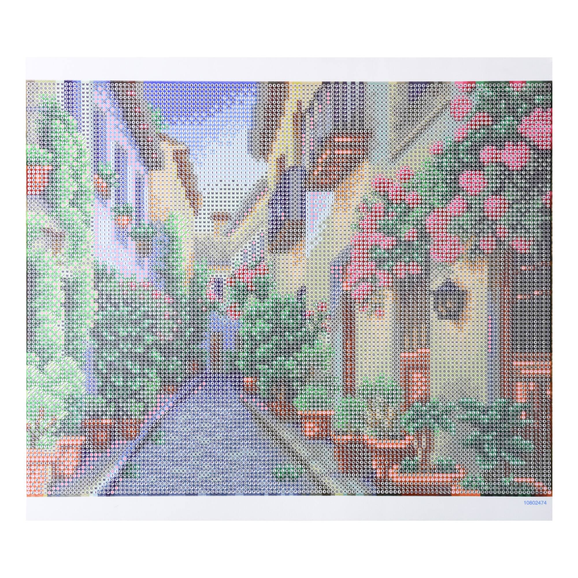 11" x 14" Flower Alley Diamond Art Kit by Make Market®